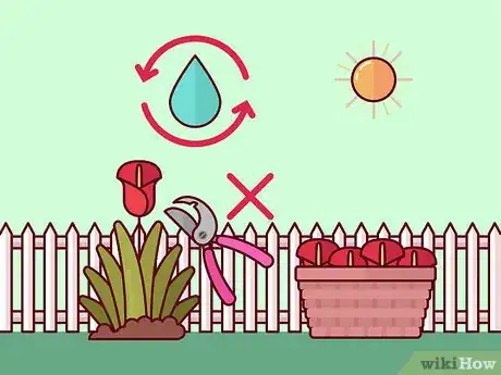 Image titled Get Calla Lilies to Flower Step 17