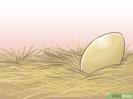 Image titled Raise Chickens for Eggs Step 20