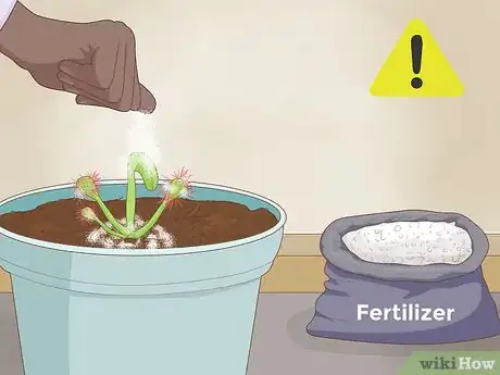 Image titled Grow Sundews Step 22