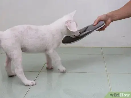 Image titled Make a Puppy Happy Step 15