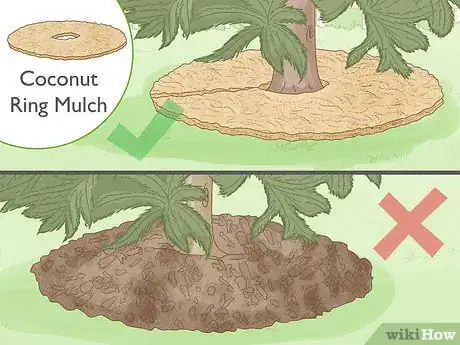 Image titled Cover a Tree Base Step 9