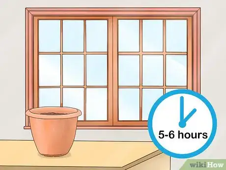 Image titled Grow Dill Indoors Step 6