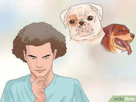 Image titled Work With Dominant Dogs Step 9