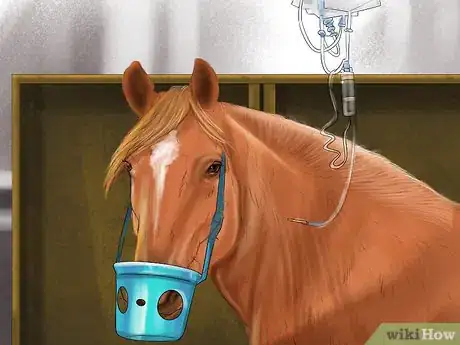 Image titled Diagnose the Cause of Fatigue in Horses Step 9