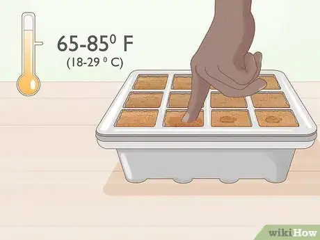 Image titled Grow Hotter Chillies Step 3