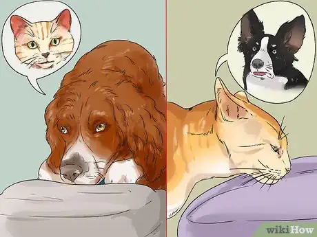 Image titled Dog‐Sit when You Have a Small Pet Step 5