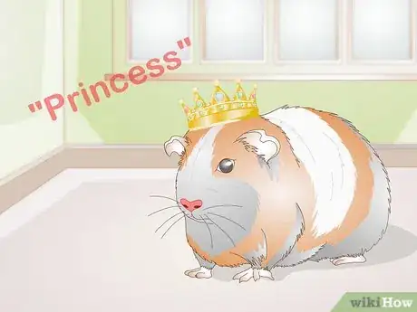 Image titled Choose Your Guinea Pig's Name Step 11