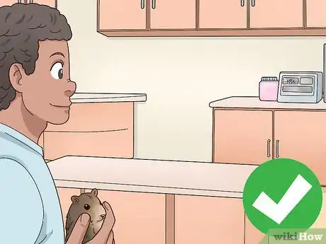 Image titled Choose a Vet for Your Gerbil Step 15
