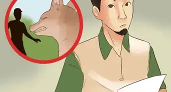 Survive a Coyote Attack