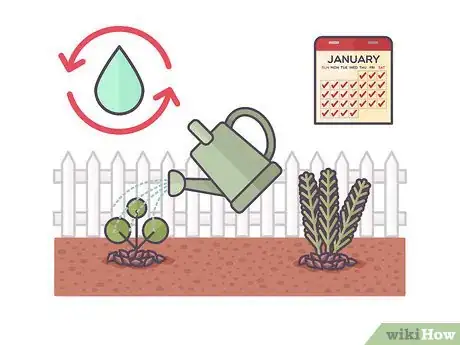 Image titled Plant a Cocktail Garden Step 8