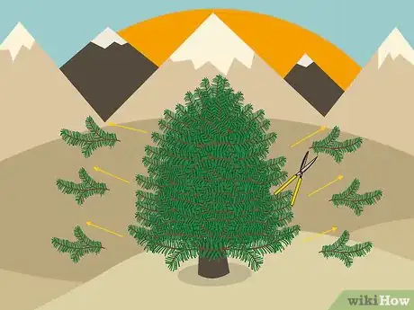 Image titled Prune White Pine Trees Step 08