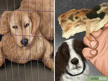 Image titled Set Ground Rules for Your Dog Step 9