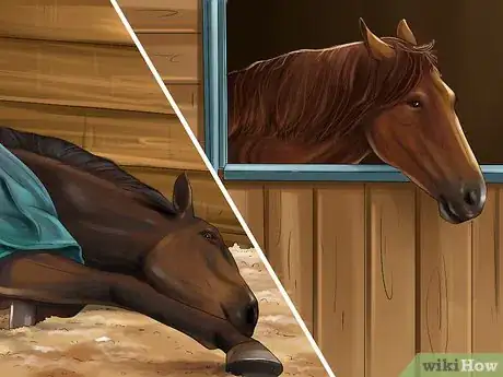 Image titled Get Rid of Strongyle Infestations in Horses Step 2