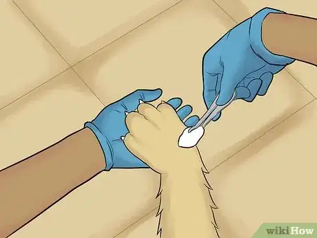 Image titled Wrap a Dog Paw Step 2