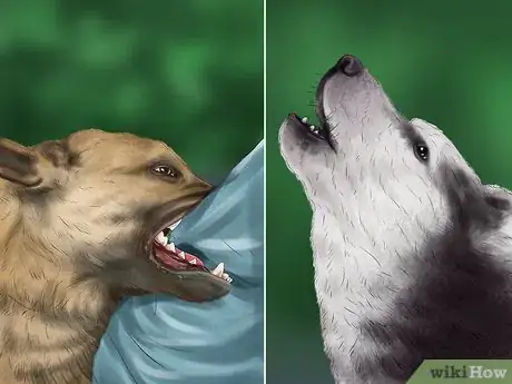 Image titled Use Dog Pheromone Products Step 2