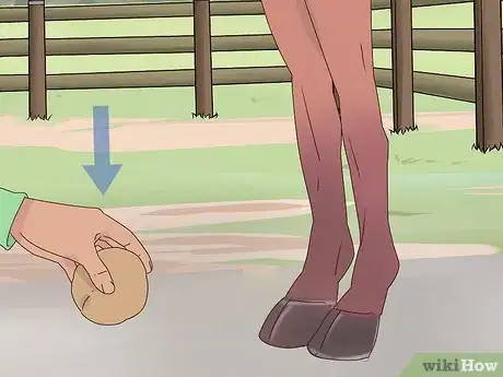 Image titled Teach a Horse to Bow Properly Step 8