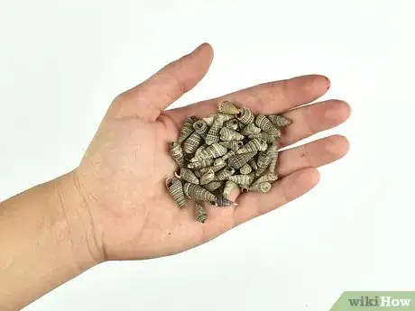 Image titled Decorate Picture Frames Step 7