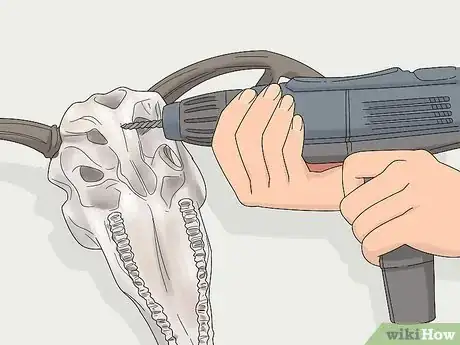 Image titled Do a European Mount Step 15