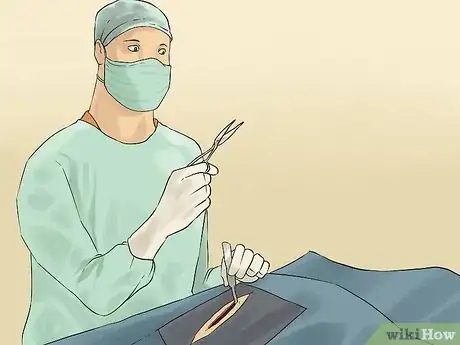 Image titled Diagnose Chronic Vomiting in Cats Step 20