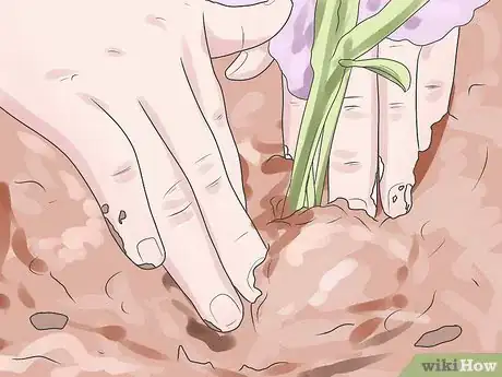 Image titled Care for Geraniums in Winter Step 16