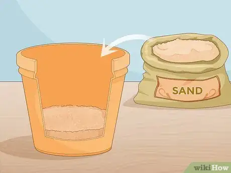 Image titled Grow Saffron Indoors Step 3