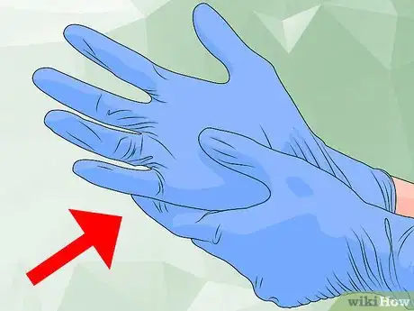 Image titled Treat Encephalitozoonosis in Dogs Step 9