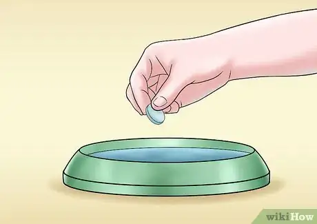 Image titled Care for a Cat with Kidney Failure Step 6