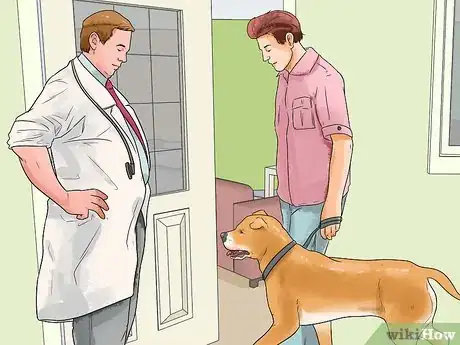 Image titled Get Your Dog Paid TV Appearances Step 2