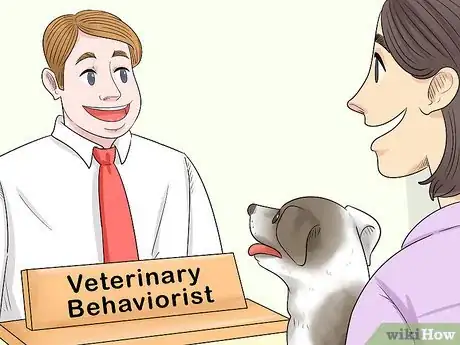 Image titled Keep Pets Safe During a Tornado Step 12