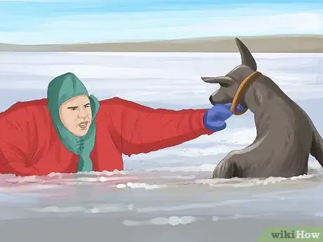 Image titled Keep Your Pets Safe in Winter Step 5