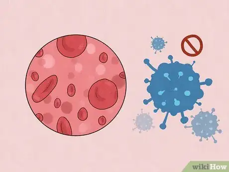 Image titled Treat Macrocytic Anemia Step 3