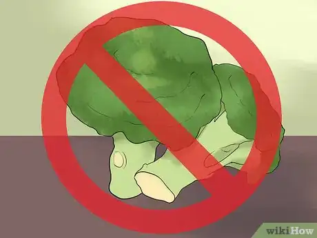 Image titled Care for Uromastyx Lizards Step 7