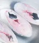 Freeze Fish