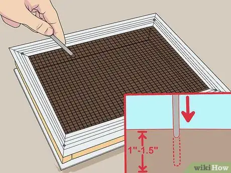 Image titled Plant a Living Picture with Plants Step 7