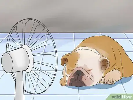 Image titled Care for Bulldogs Step 7