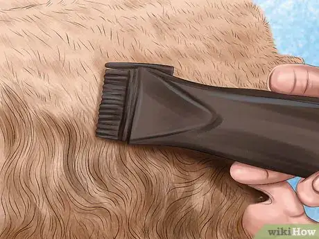 Image titled Care for Your Dog in the Winter Step 17