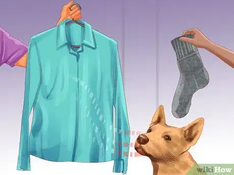 Image titled Manage Aggression in Older Dogs Step 2