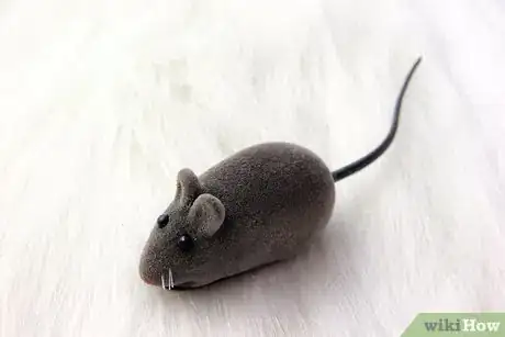 Image titled Adopt a Cat if You Already Have One Step 2