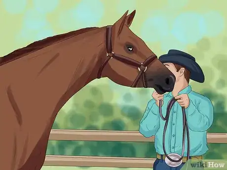Image titled Put a Lead Rope on a Horse Step 14