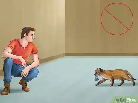 Image titled Protect Your Cat in Summer Step 9