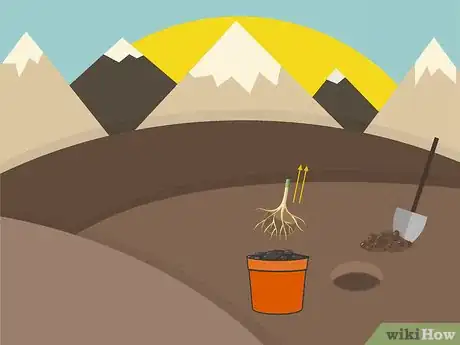 Image titled Plant in Poor Soils Step 06