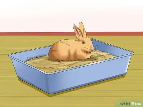 Image titled Care for Sussex Rabbits Step 5