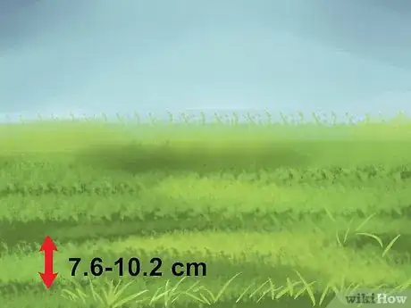 Image titled Maintain Horse Paddocks Step 5