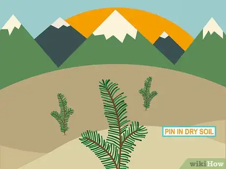 Image titled Plant in Poor Soils Step 12
