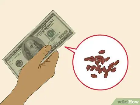 Image titled Grow Bergamot Step 1