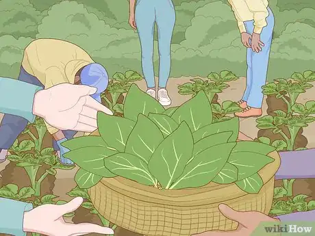 Image titled Be a Locavore Step 11