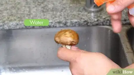 Image titled Clean Crimini Mushrooms Step 1