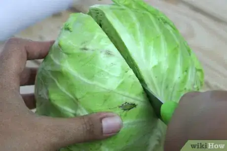 Image titled Steam Cabbage Step 3Bullet1