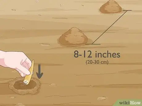 Image titled Plant Gloriosa Bulbs Step 5