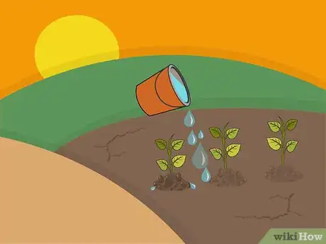 Image titled Plant Begonia Bulbs Step 07